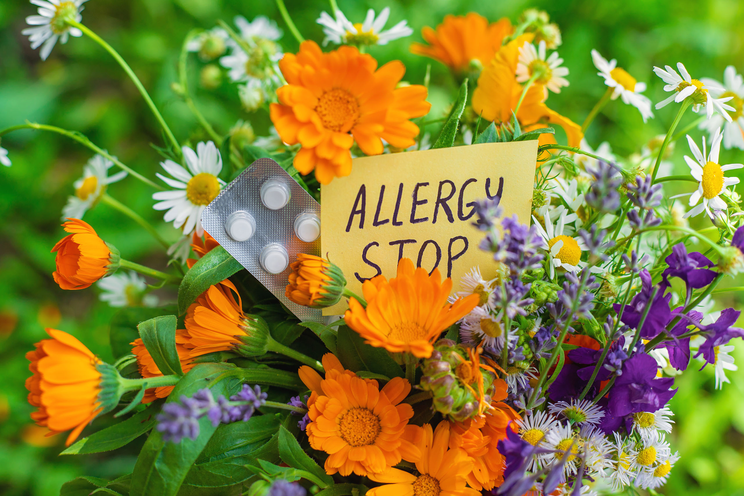 Kuna Chiropractic - A natural approach to allergy relief